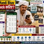 Online Mandi Bhav Check करणा रा तरीका: किसान घर बैठ्या फसल रो Rate कैसे देख सकै है?