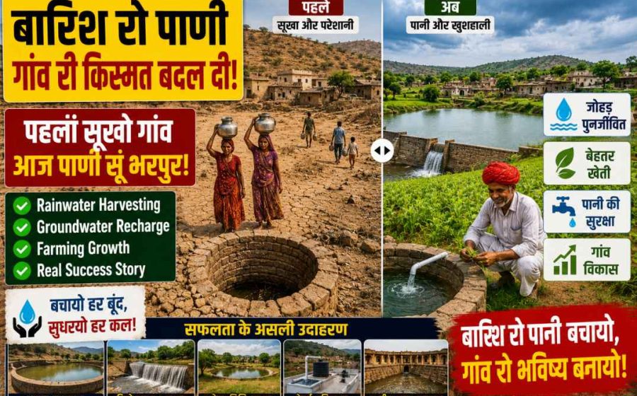 Rainwater harvesting success stories